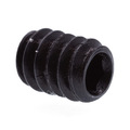 Prime-Line Socket Set Screw #10-24 X 1/4in Black Oxide Coated Steel 25PK 9183179